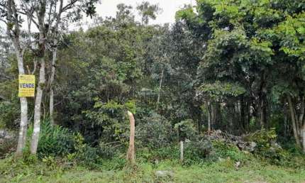 Terreno à venda na Irapuã, 382, Balneário Eldorado, Matinhos por R$ 100.000