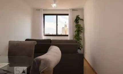 Apartamento à venda - vila campestre, 2 quartos,  53 m2