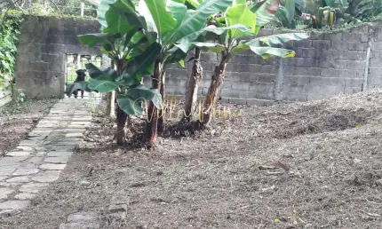 Terreno, Pouso Alegre, Ribeirão Pires - R$ 135 mil, Cod: 523