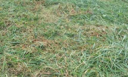 TERRENO PARA LOCAÇÃO NO JARDIM PIAZZA DI ROMA - SOROCABA/SP