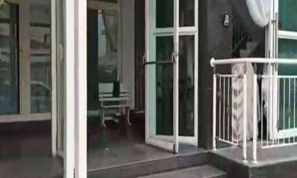 PRÉDIO COMERCIAL ALUGA NA VILA INDEPENDÊNCIA - SOROCABA/SP