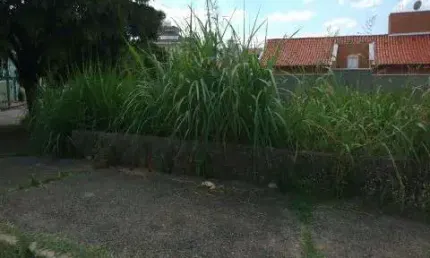 Terreno comercial à venda no Parque Campolim, Sorocaba 