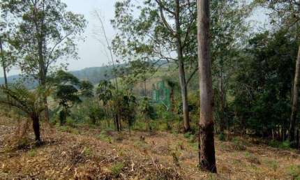 Terreno à venda, 3500 m² por R$ 276.000,00 - Jardim Planalto - Arujá/SP