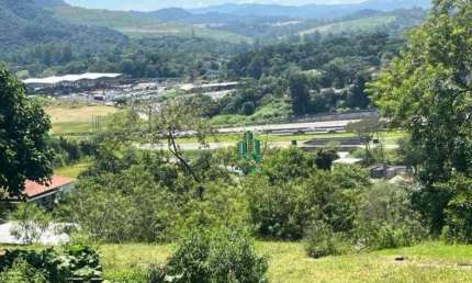 Terreno à venda, 12000 m² por R$ 12.720.000,00 - Parque Edu Chaves - São Paulo/SP