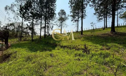 Terreno à venda no Vitória Régia, Atibaia 
