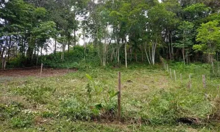 Excelente terreno rural com 500m² no morro do gato em palhoça/sc: não aceita trocas!