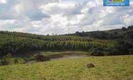Área à venda, 45600 m² por R$ 950.000,00 - Itinga - Salto de Pirapora/SP