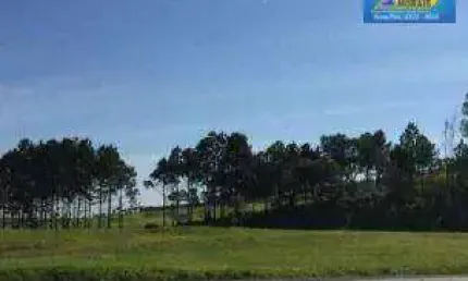 Terreno, 10900 m² - venda por R$ 6.900.000 ou aluguel por R$ 10.000/mês - Vila Artura - Sorocaba/SP