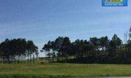 Terreno, 10900 m² - venda por R$ 6.900.000 ou aluguel por R$ 10.000/mês - Vila Artura - Sorocaba/SP