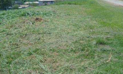Terreno à venda, 1000 m² por R$ 140.000,00 - Éden - Sorocaba/SP