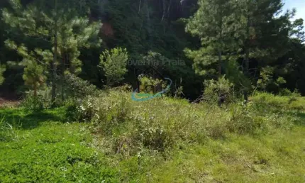 Terreno para venda em caraguatatuba, capricórnio iii