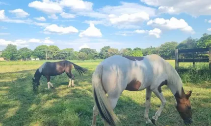 Chácara no Condomínio Santa Filomena em Salto, ideal para cavalos e pequenos cultivos, além de um amplo espaço para seu descanso e lazer