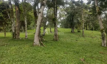 Terreno à venda no Centro, Campo Alegre 
