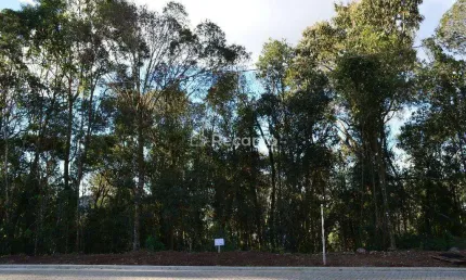 Terreno à venda na Gentil Bonato, Vale das Colinas, Gramado
