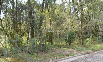 TERRENO À VENDA, 450 M²  - VIVENDAS DO ARVOREDO - GRAMADO/RS