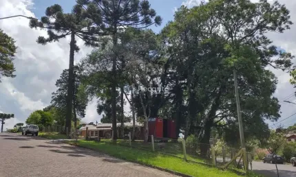 TERRENO COM 740M²  COM  ESTUDO DE VIABILIDADE, Vila Maggi, Canela - RS