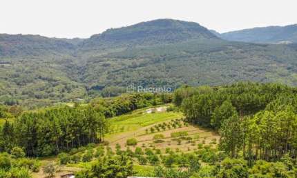 ÁREA DE 196.800 NO LINHA QUILOMBO EM GRAMADO, Linha 28, Gramado - RS