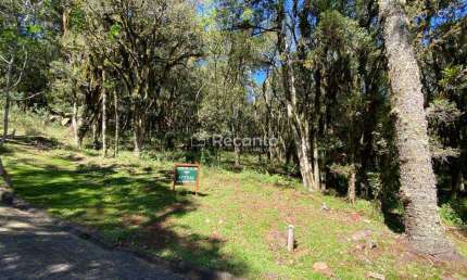 TERRENO COM 665,17 M² EM CONDOMÍNIO FECHADO , Pinheiro Grosso, Canela - RS