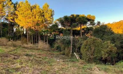 TERRENO COM 840 M² EM SÃO FRANCISCO DE PAULA , São Bernardo, Sao Francisco de Paula - RS