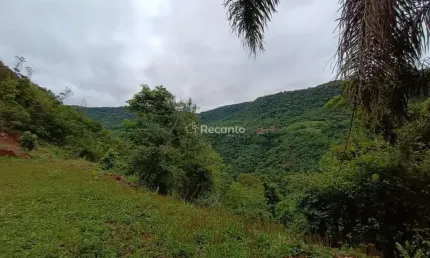 SÍTIO NO INTERIOR DE GRAMADO COM 30.200 M², Pedra Branca da Linha Furna, Gramado - RS