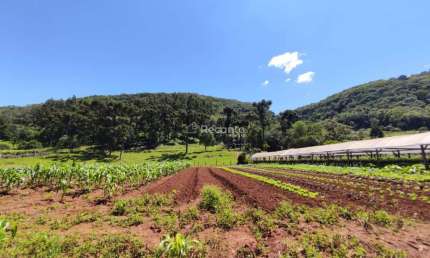 ÁREA DE 32000² A VENDA EM GRAMADO, LINHA AVILA!, Estrada Linha Avila, Gramado - RS