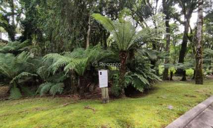 TERRENO A VENDA DE 1.093M² EM CONDOMINIO, GRAMADO, O Bosque, Gramado - RS