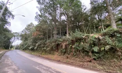TERRENO DE 600,90M² A VENDA EM CANELA, Vila do Cedro, Canela - RS