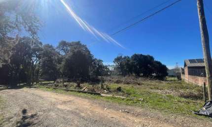 Terreno à venda na Bom Jesus, Canela - Rs, 1139, Bom Jesus, Canela