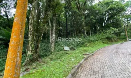 LOTE A VENDA EM CANELA , Pinheiro Grosso, Canela - RS