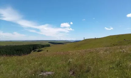 ÁREA A VENDA EM SÃO FRANCISCO DE PAULA , Sao Francisco de Paula - RS