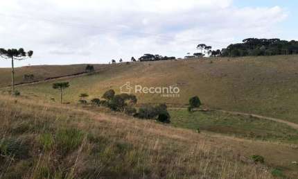 ÁREA DE 34 HECTARES A VENDA EM SÃO FRANCISCO , Sao Francisco de Paula - RS