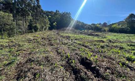 TERRENO A VENDA NA LINHA FURNA, Linha Furna, Gramado - RS