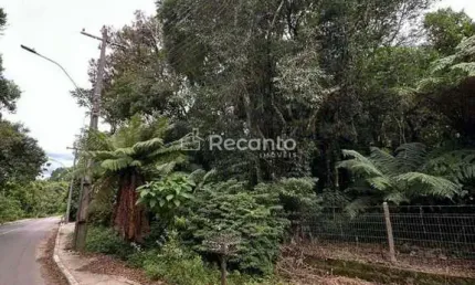Terreno à venda na Rua Dos Pinheiros, Alpes Verdes, Canela