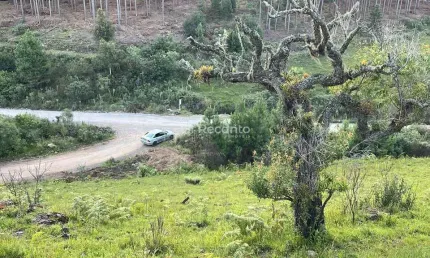 TERRENO A VENDA NO SALTO COM 437,00M² , Eletra, Sao Francisco de Paula - RS