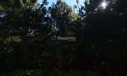 Área à venda, 80000 m² - mato queimado - gramado/rs