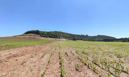 Apartamento à venda na Estrada Linha Tapera, Marcondes, Gramado