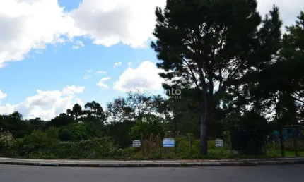 TERRENO À VENDA, 4016 M² POR R$ 2.400.000,00 - VILA  BOEIRA - CANELA/RS, Canelinha, Canela - RS