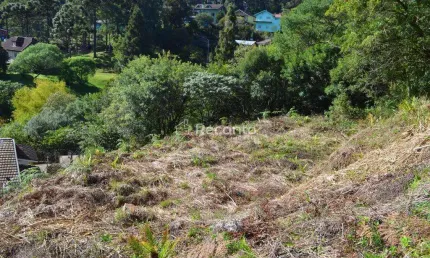 Terreno à venda na Rua Aurelio Broilo, Pórtico, Gramado