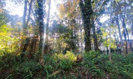 Terreno à venda na Rua Da Carrieri, Planalto, Gramado
