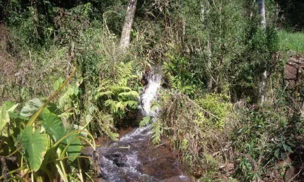 ÁREA À VENDA, 149100 M²- LINHA ARARIPE - GRAMADO/RS, Linha Araripe B, Gramado - RS