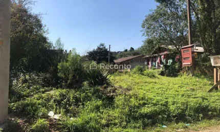 TERRENO À VENDA, 1000 M²  - VILA DO CEDRO - CANELA/RS, Santa Terezinha, Canela - RS