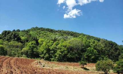 ÁREA À VENDA, 59000 M²  LINHA BONITA - GRAMADO/RS, Linha Bonita Alemã, Gramado - RS