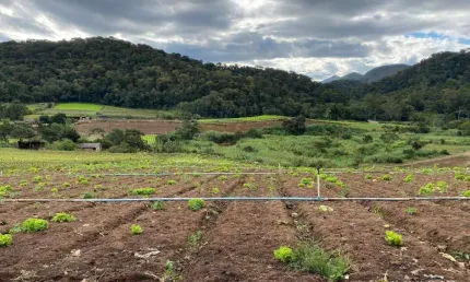 Fazenda à venda na Rua Campanha, Campo do Coelho, Nova Friburgo