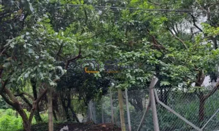 Terreno à venda na Rua Frederico Guarinon, --, Morumbi, São Paulo