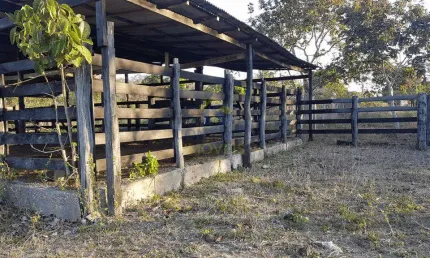 Lindo sítio na região do município de alto paraguai 32 hectares r$800.000,00. codigo: 45915