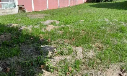 Terreno em condomínio fechado à venda na Estrada Marino Nunes Vieira, Várzea das Moças, Niterói