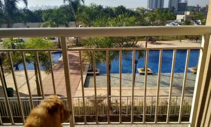 Apartamento à venda 3 Dorms suite e 1 vaga Taboão da Serra