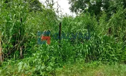 Terreno à venda na praia de boracéia em são sebastião - sp