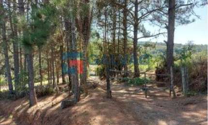 Chácara / sítio com 4 quartos à venda no Pitangal, Jarinu 
