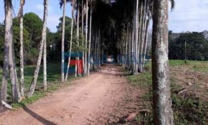 Terreno comercial à venda no Laranjal, Atibaia 